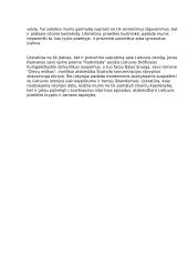 Ar literatūra padeda pažinti Lietuvos istoriją? 2 puslapis