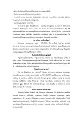 Kūdikių ir gripo vakcinos 3 puslapis