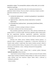 Valdymas tikslų pagrindu 11 puslapis