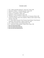 Valdymas tikslų pagrindu 19 puslapis