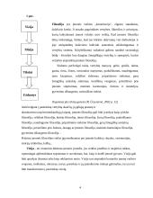 Valdymas tikslų pagrindu 3 puslapis