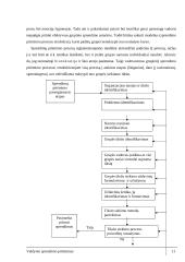 Valdymas. Valdymo sprendimų priėmimas 11 puslapis