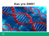 Ką tiria genetika? 15 puslapis