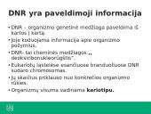 Ką tiria genetika? 16 puslapis