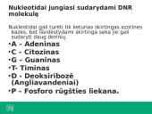 Ką tiria genetika? 19 puslapis