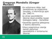 Ką tiria genetika? 3 puslapis