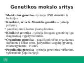 Ką tiria genetika? 4 puslapis