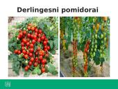 Ką tiria genetika? 10 puslapis