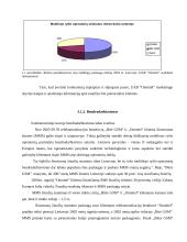 Valdymo analizė: mobiliosios paslaugos UAB "Omnitel" 12 puslapis