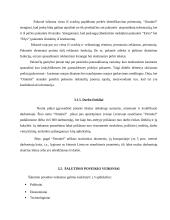 Valdymo analizė: mobiliosios paslaugos UAB "Omnitel" 16 puslapis