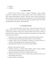 Valdymo analizė: mobiliosios paslaugos UAB "Omnitel" 17 puslapis