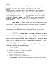 Valdymo analizė: mobiliosios paslaugos UAB "Omnitel" 6 puslapis