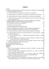Viešojo administravimo efektyvumo vertinimas ES šalyse ir sąryšis su ekonomikos vystymusi 2 puslapis