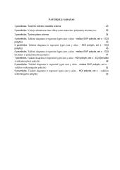 Viešojo administravimo efektyvumo vertinimas ES šalyse ir sąryšis su ekonomikos vystymusi 4 puslapis