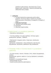 Anatomijos ir fiziologijos dalyko kontrolinio darbo Nr. 1 klausimai 3 puslapis