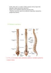 Anatomijos ir fiziologijos dalyko kontrolinio darbo Nr. 1 klausimai 5 puslapis