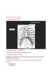 Anatomijos ir fiziologijos dalyko kontrolinio darbo Nr. 1 klausimai 7 puslapis