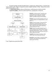 Valdymo funkcijos organizacijose 12 puslapis