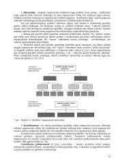 Valdymo funkcijos organizacijose 14 puslapis
