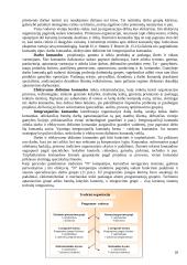 Valdymo funkcijos organizacijose 18 puslapis