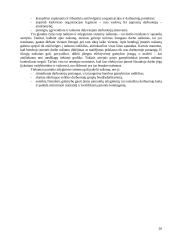 Valdymo funkcijos organizacijose 20 puslapis