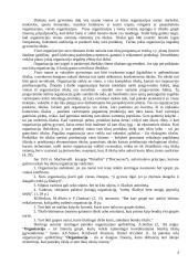 Valdymo funkcijos organizacijose 4 puslapis