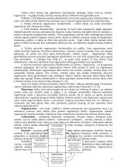 Valdymo funkcijos organizacijose 5 puslapis