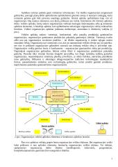 Valdymo funkcijos organizacijose 7 puslapis