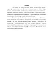 Valdymo funkcijų realizavimas organizacijų veikloje 13 puslapis