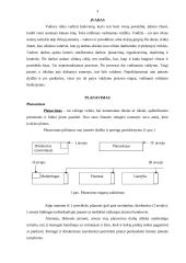 Valdymo funkcijų realizavimas organizacijų veikloje 3 puslapis