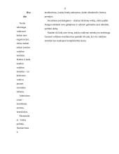 Valdymo metodų analizė 11 puslapis