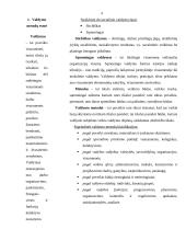 Valdymo metodų analizė 4 puslapis