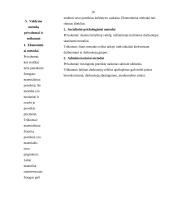 Valdymo metodų analizė 10 puslapis