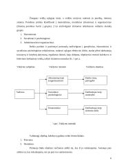Valdymo metodikos 6 puslapis