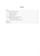 Valdymo organizavimas ir pagrindiniai organizacijos tipai 2 puslapis