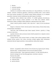 Valdymo organizavimas: UAB "Aulinukai" 7 puslapis