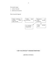 Valdymo organizavimas: UAB "Aulinukai" 8 puslapis