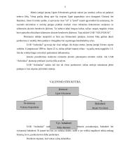 Valdymo organizavimas: UAB "Aulinukai" 9 puslapis