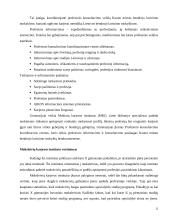 Valdymo procesai: Kauno gimnazija 11 puslapis