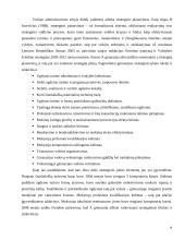 Valdymo procesai: Kauno gimnazija 13 puslapis