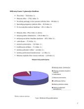 Valdymo procesai: Kauno gimnazija 16 puslapis