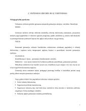 Valdymo procesai: Kauno gimnazija 6 puslapis