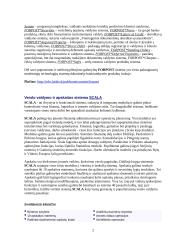 Valdymo sistemos 2 puslapis