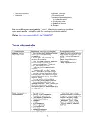 Valdymo sistemos 6 puslapis