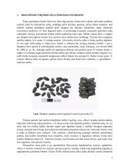 Trąšų istorija 3 puslapis