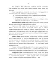 Valdymo sprendimo priėmimo samprata ir jos subjektai 12 puslapis