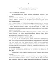 Valdymo sprendimo priėmimo samprata ir jos subjektai 9 puslapis