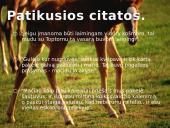 Michael Morpugo „Karo žirgas“ 8 puslapis