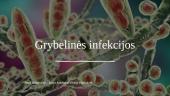 Grybelinės infekcijos