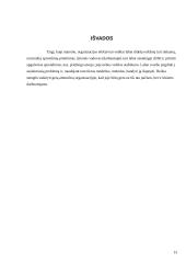 Valdymo sprendimų priėmimas organizacijoje 13 puslapis